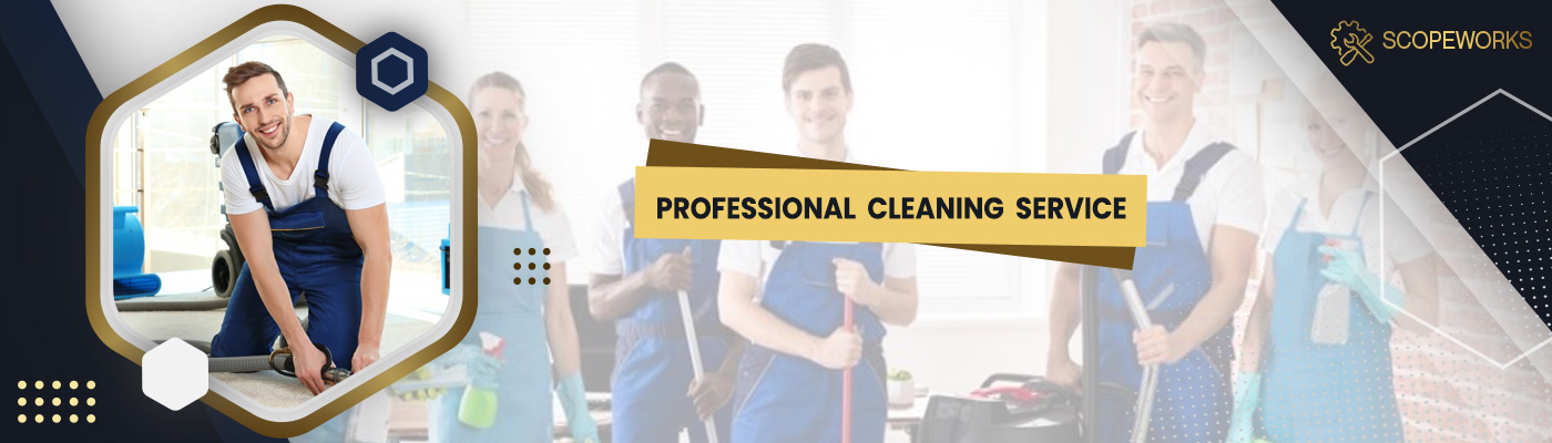 Professional Cleaning Service in Auckland