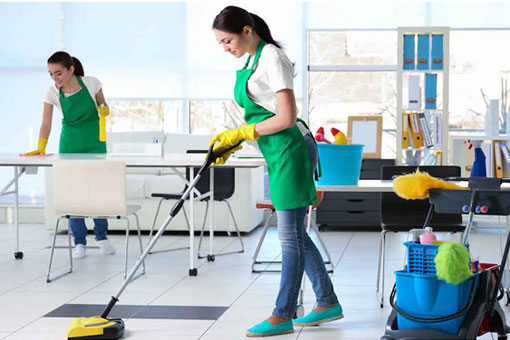 Professional Cleaning Service in Auckland